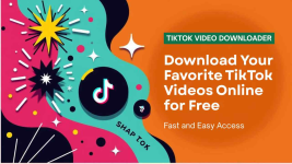 Download TikTok Videos online